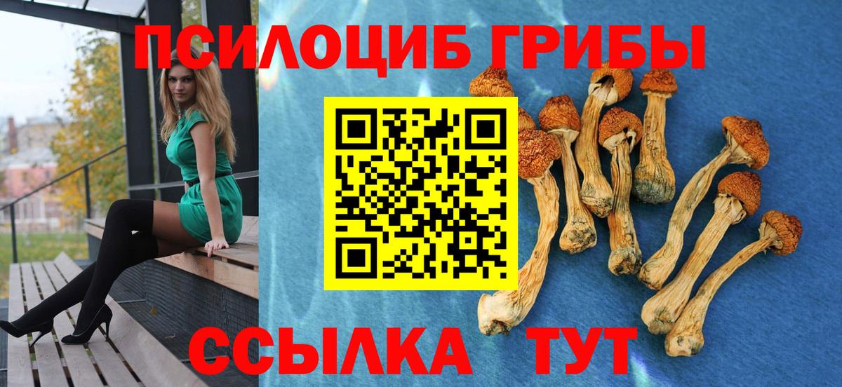 Галлюциногенные грибы ЛСД  Вход с VPN  Волгоград 